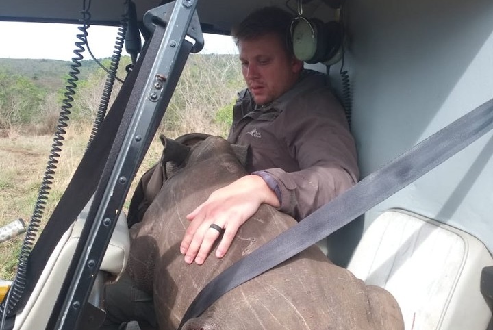 Viral Photo of Baby Rhino Airlifted to Safety Sparks Global Hope