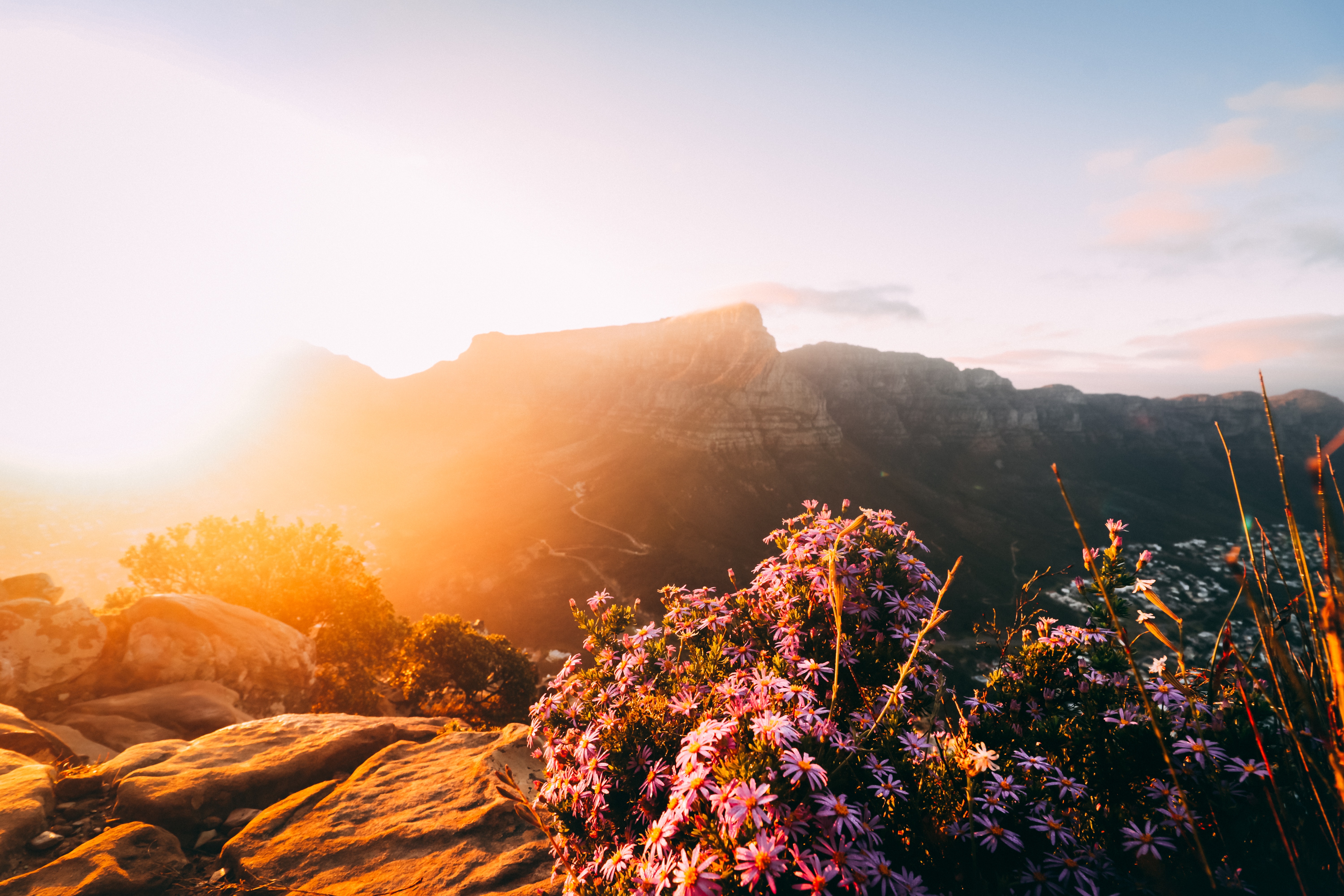 Most Beautiful Cities Table Mountain Red Bus Nomads Nature Tourism Cape Town