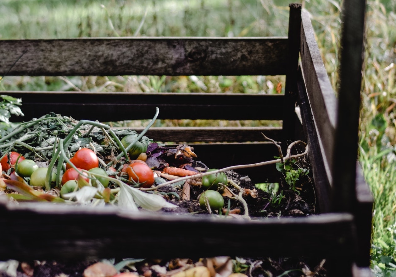 Scraps Organic Waste Food