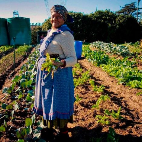 Farmer hands over R30 million village to his 150 workers