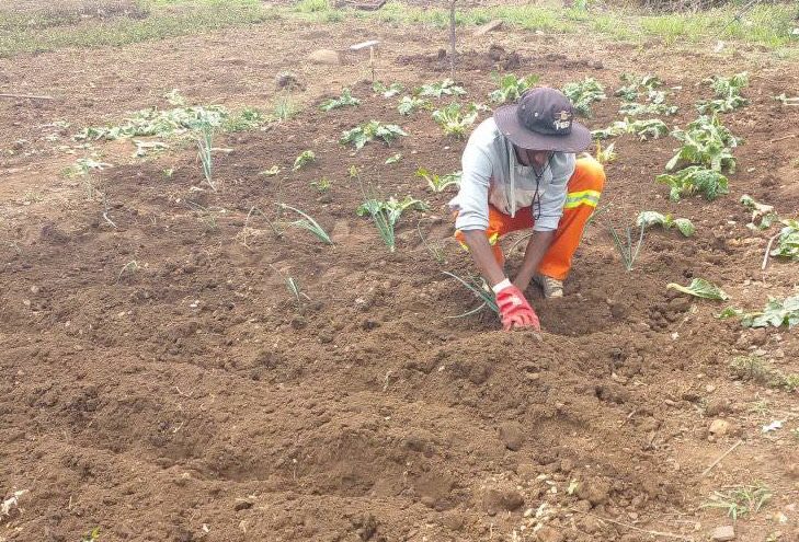 Green Youth Environmentalists