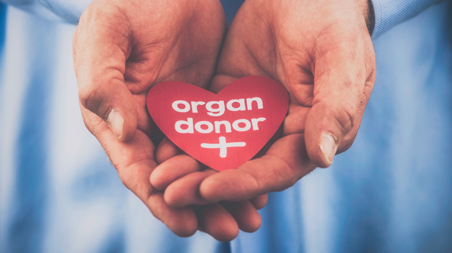 History Gift Life Organ Donation