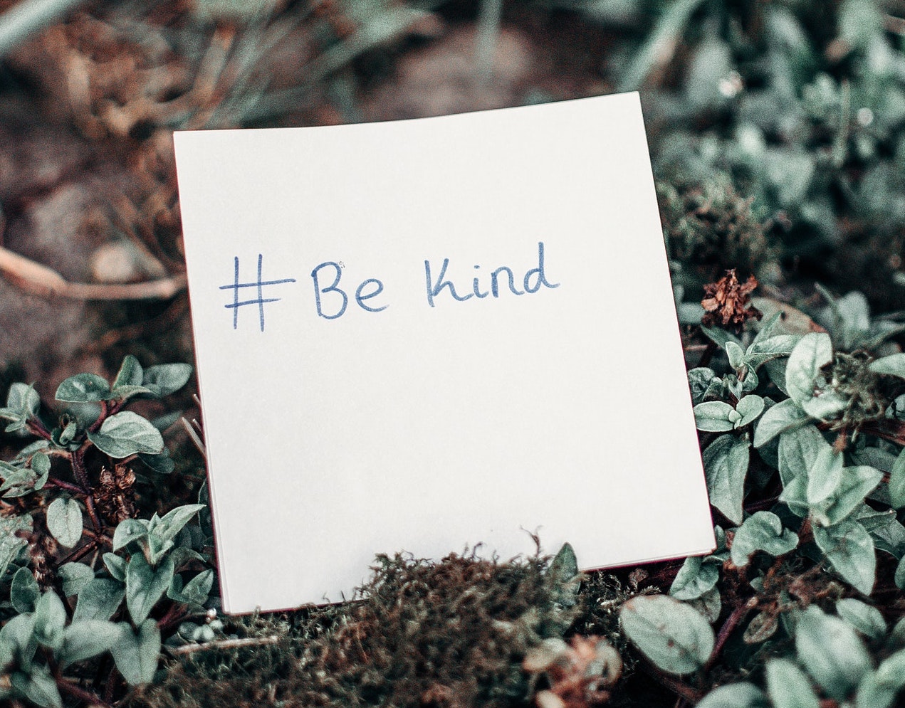 Kindness Okay Not To Be Okay | uide Short Kindness Day Community Elder