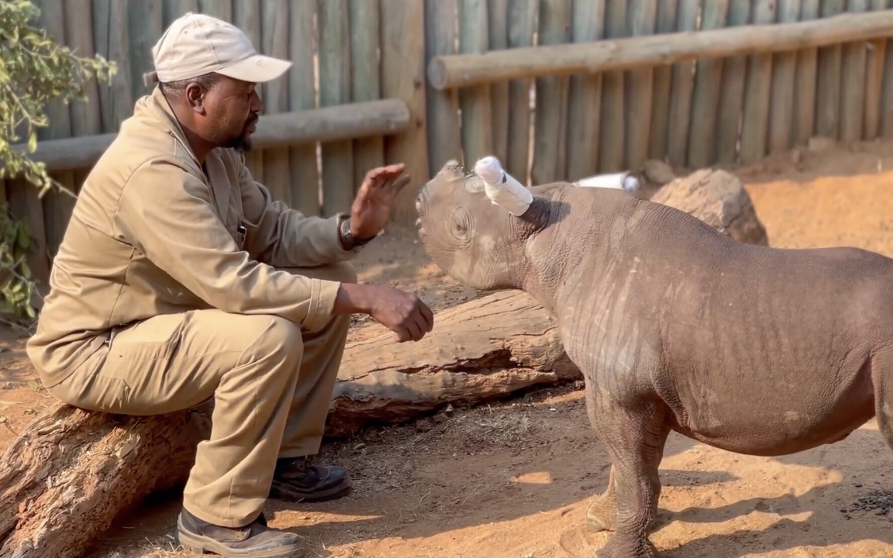 black rhino whisperer