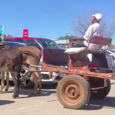 cart driver