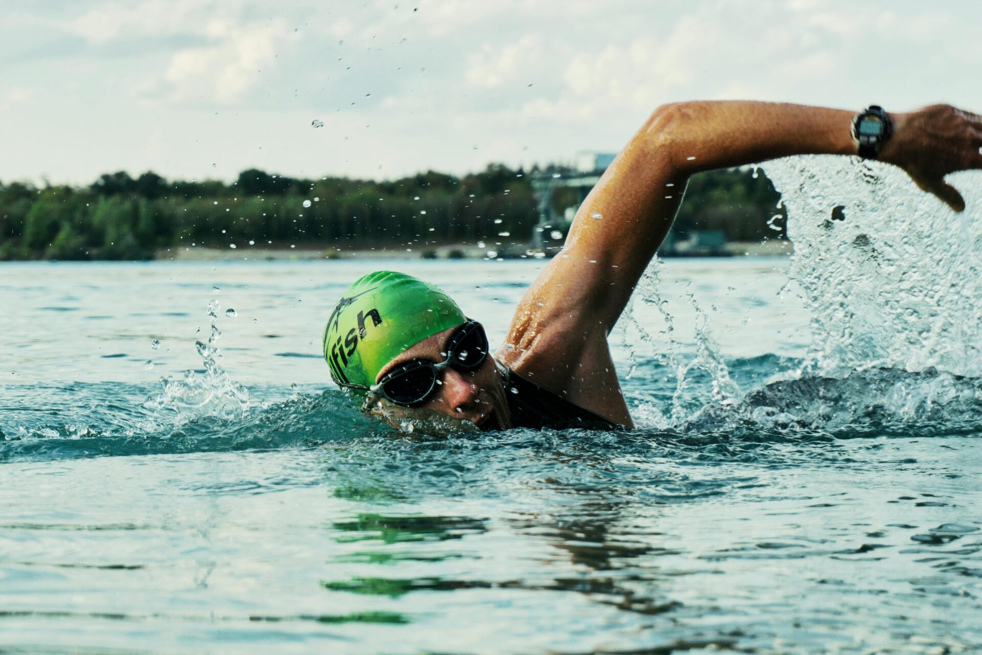 Robben Island Swim