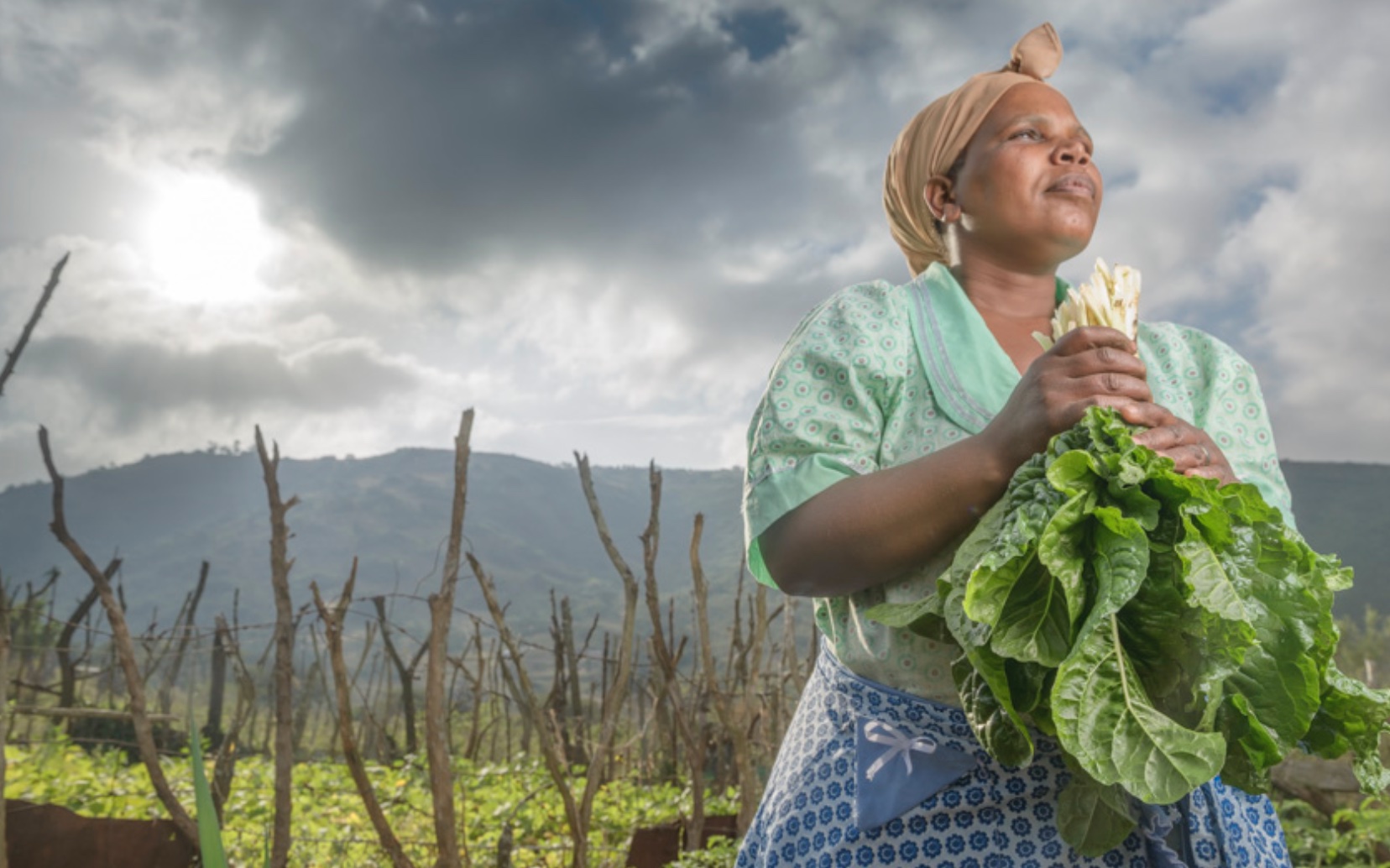 World Food Day