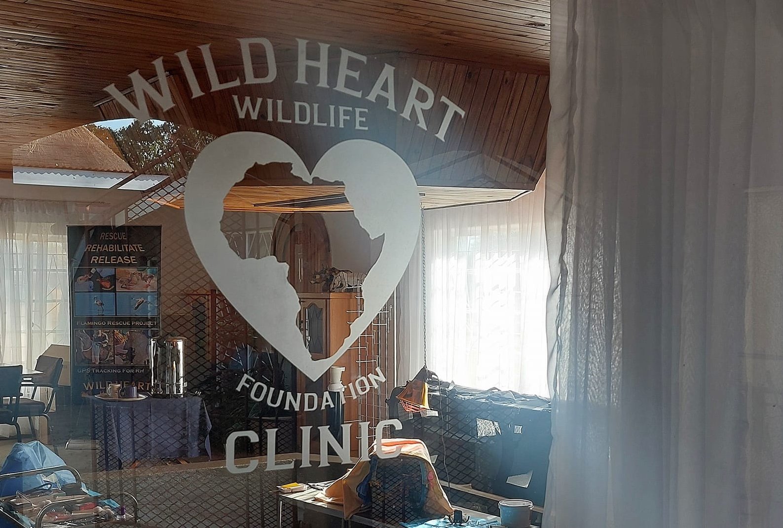 Wild Heart Wildlife Foundation