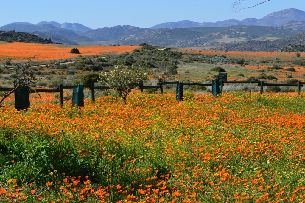 Northern Cape Land Project